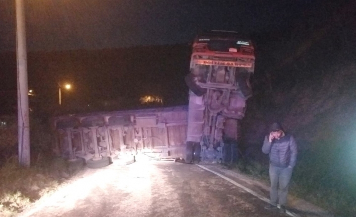 Erdek’te odun yüklü Tır devrildi