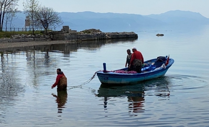 İznik Gölünde gümüş balığı bereketi