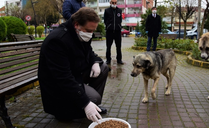 Karesi Dost elini uzatıyor