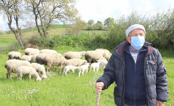 Korona virüse inat bu köyde tarım ve hayvancılık sürüyor