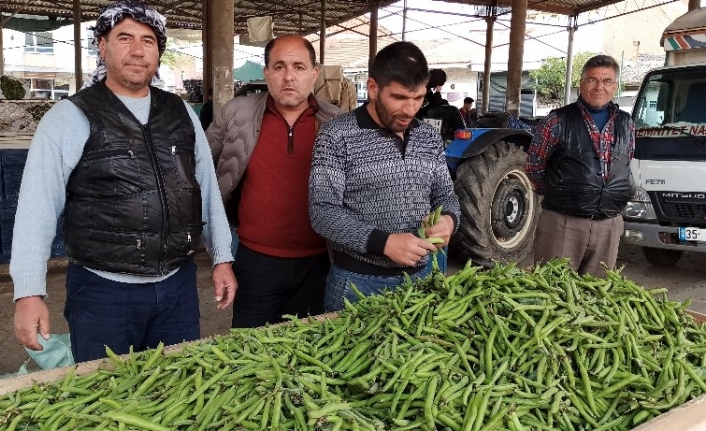 Korona virüsü baklayı da vurdu