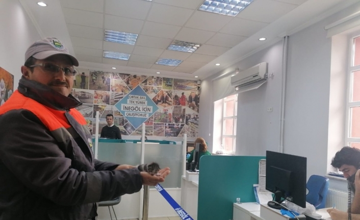 Korona virüsü sokak hayvanlarını da vurdu