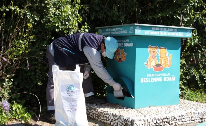 Nilüfer’de can dostlar için seferberlik