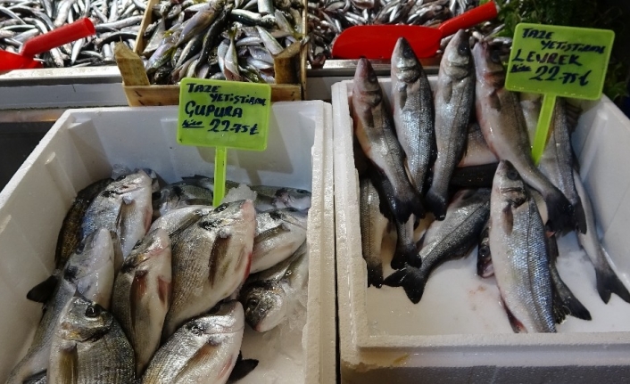 Vatandaş ucuz balık yesin diye fiyatları yarı yarıya düşürdü