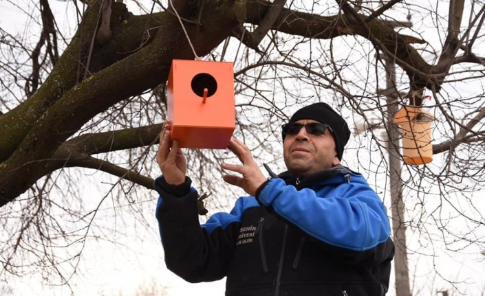 Yenişehir Belediyesi sokak hayvanlarını unutmadı