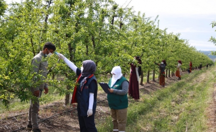 Balıkesir’e mevsimlik tarım işçileri geldi