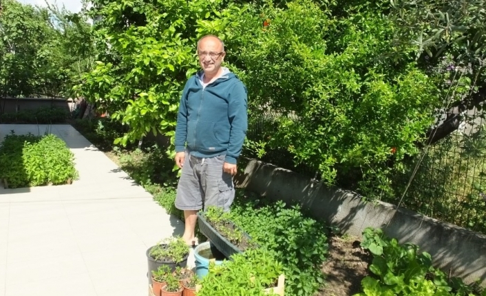 Burhaniyeli vatandaş bahçesinde ürettiği sebze fidelerini komşularına dağıtyor