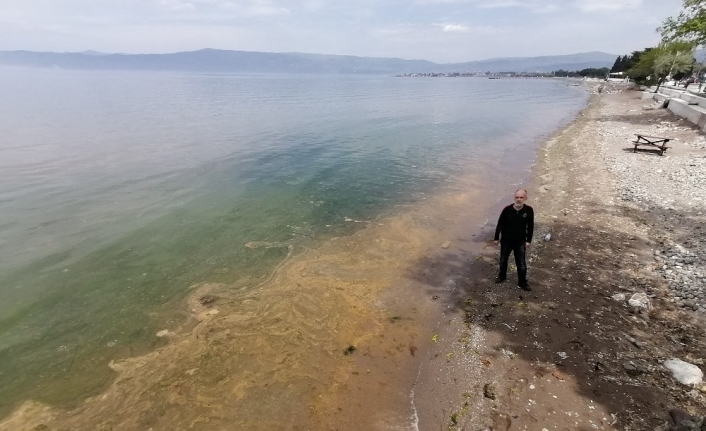 Gemlik Körfezi’nde şaşkına çeviren görüntü
