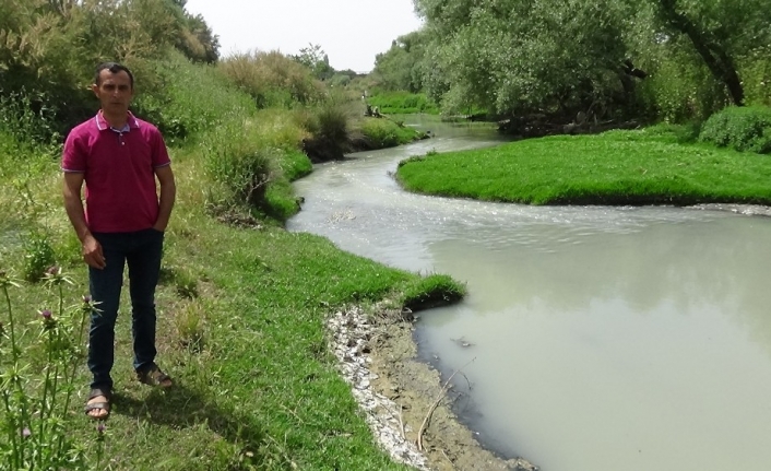 Havran Çayı’nda kirlilik alarmı