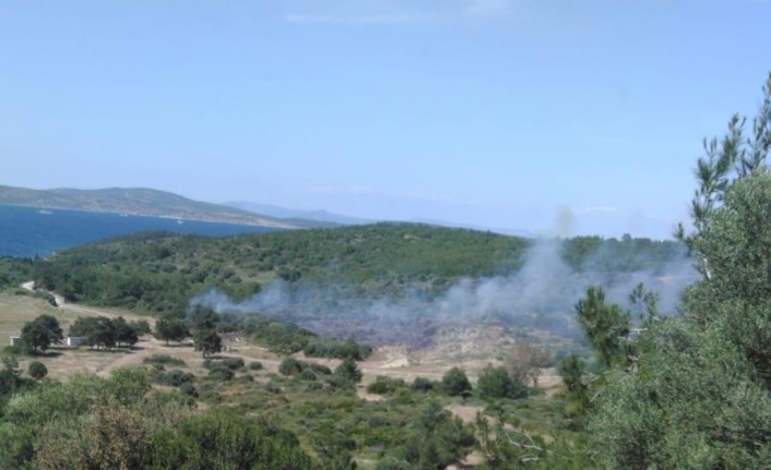 İzmir’deki yangınlar kontrol altında