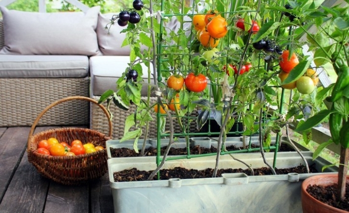 Nilüfer Belediyesi’nden balkon tarımına teşvik “Fidesi bizden ürün sizden”