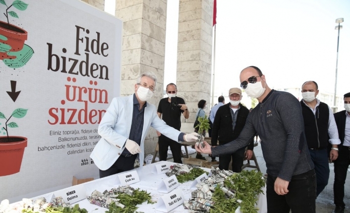 Nilüfer’de balkon tarımı başlıyor