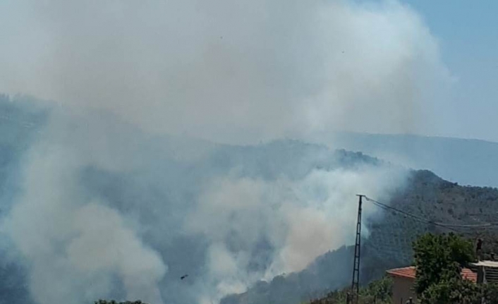 Ormanlık alandaki yangın paniğe neden oldu