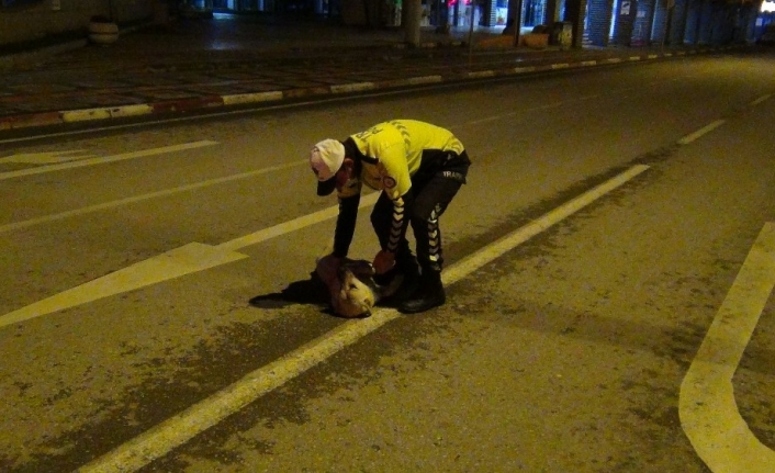 Polis memuruyla köpeğin gülümseten görüntüleri