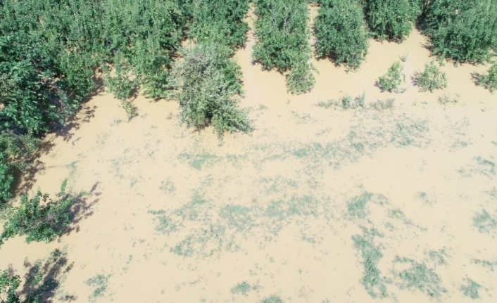 Afet bölgesinde binlerce dönüm tarım arazisi sular altında...