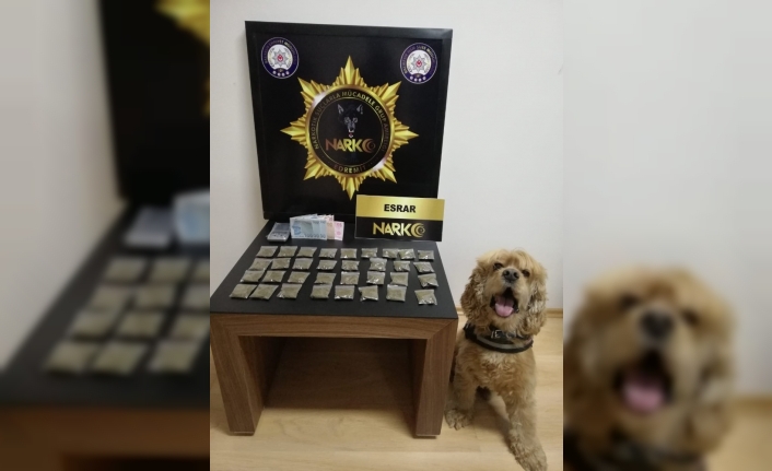 Balıkesir’de 136 gram toz esrar ele geçirildi
