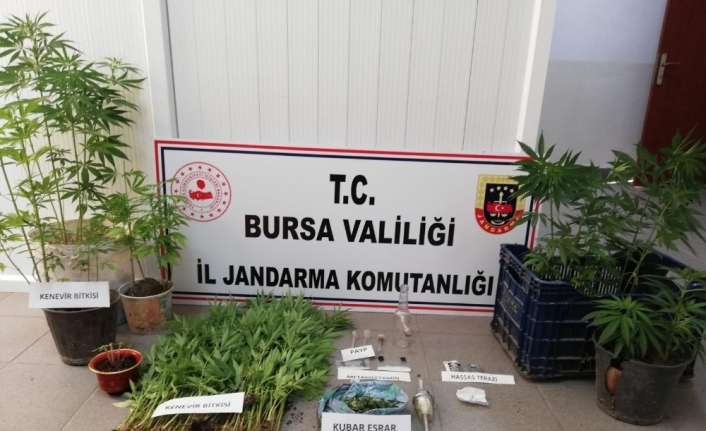 Bursa jandarmadan uyuşturucuya geçit yok