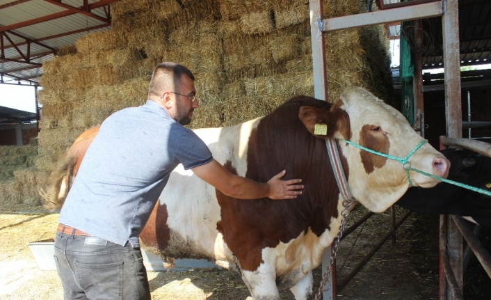 Bursa’nın ’Reis’i alıcısını bekliyor