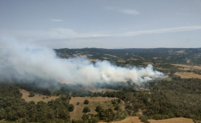 Çanakkale’de orman yangını