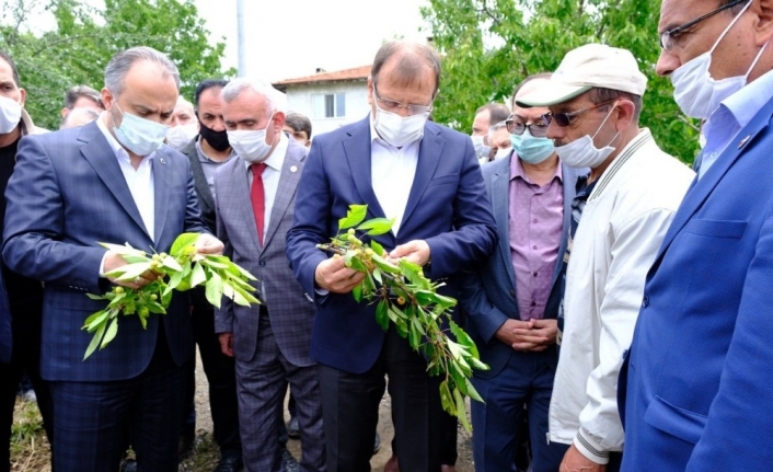 Çavuşoğlu, dolu mağduru çiftçinin yanında...