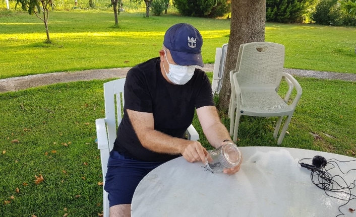 Geyik Böceği bu kez İzmir’de görüldü