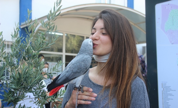 İzmir’de sosyal mesafeli YKS başladı