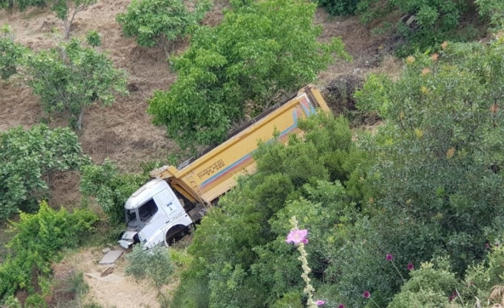 Kaplumbağanın hayatını kurtardı, aracı uçuruma yuvarlandı