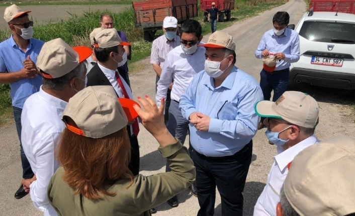 Kınık, Tarım Organize İhtisas Sanayi Bölgesine kavuşuyor