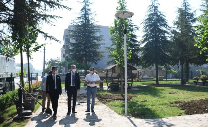 Koruluktaki kuruyan ağaçlar yenileniyor