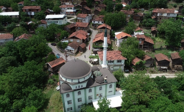 Bu köyde öyle bir tedbir aldılar ki, korona virüs hiç uğramadı...