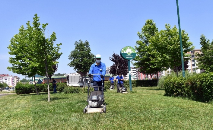 Park ve bahçelere bakım