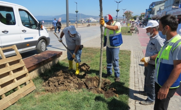 Sahil bulvarına büyükşehirden estetik dokunuşlar