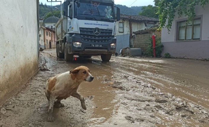 Selin vurduğu Dudaklı Mahallesi hayalet köye döndü...