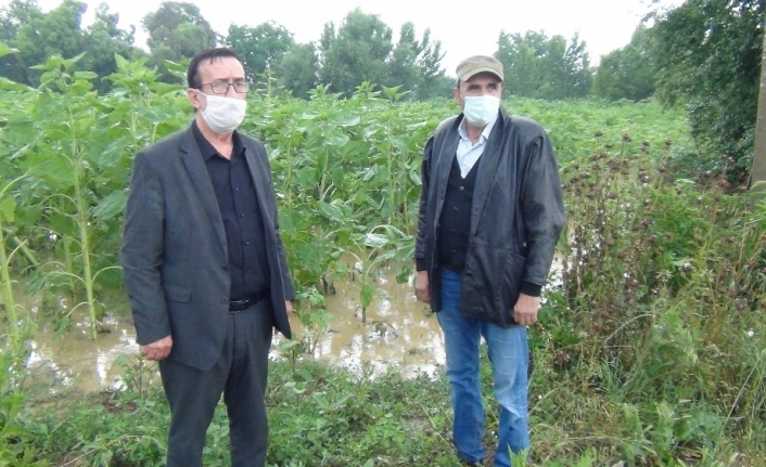 Yağmur hayatı felç etti; dereler taştı, köprüler yıkıldı, ağaçlar devrildi