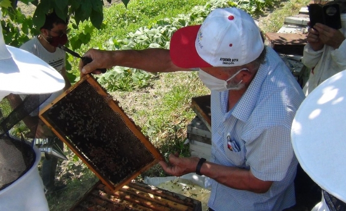 Arıların içine girdiler, eğitimi hem teorik hem pratik yaptılar