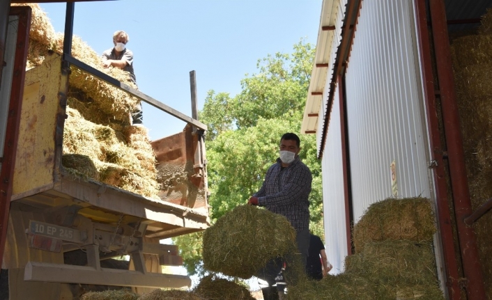 Balıkesir Büyükşehir’den üreticilere yem desteği