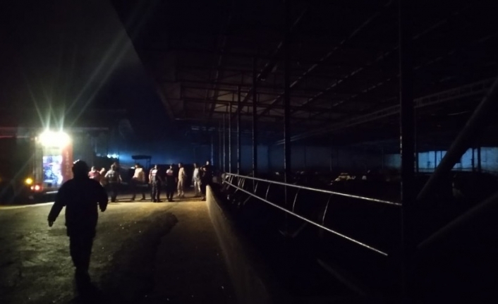 Balıkesir'de bir samanlıkta çıkan yangında 4 bin balya ...