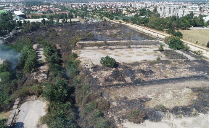Bursa’da arazi yangını kontrol altına alındı