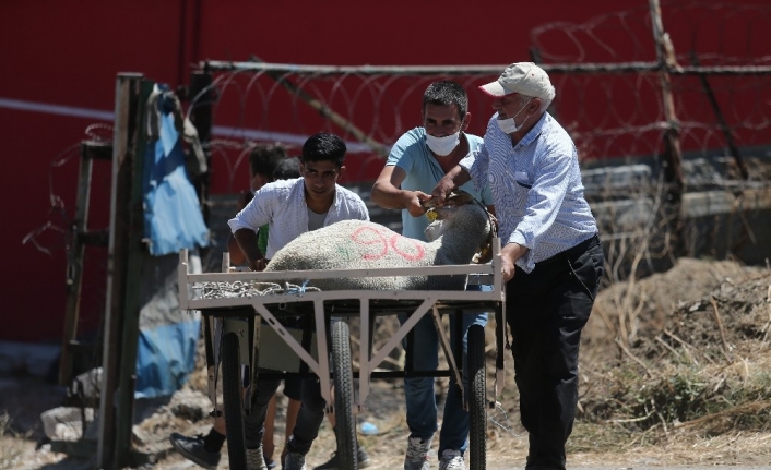 Bursa’da arife günü kurban pazarlarında hareketlilik yaşanıyor