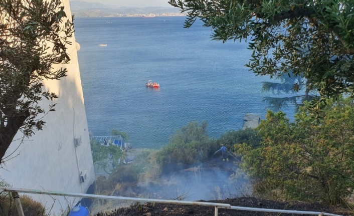 Bursa’da yangın...Çamlar yanmadan söndürüldü