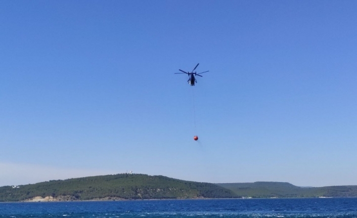 Çanakkale Boğazı yangın sebebiyle çift taraflı transit gemi geçişlerine kapatıldı