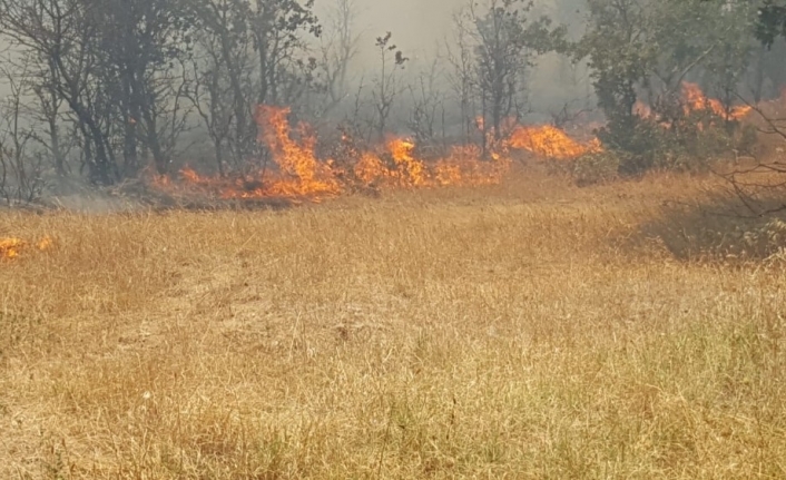 Çanakkale’da korku dolu anlar...