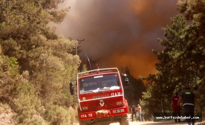 Çanakkale’de orman yangını