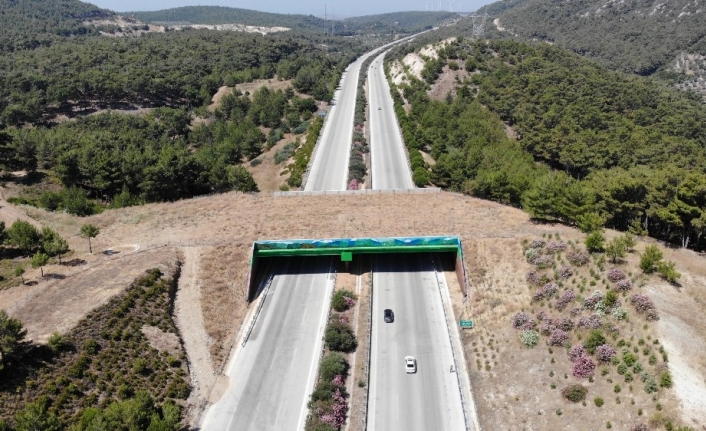 Çeşme otoyolundaki doğal yaşam köprüsünün yapımı tamamlandı