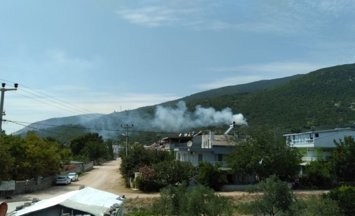 Erdek’te orman yangını