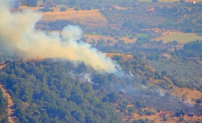 Foça’da çıkan orman yangını kısa sürede kontrol altına alındı