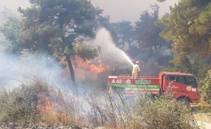 Gelibolu’da poyraz yangın söndürme işini zorlaştırıyor