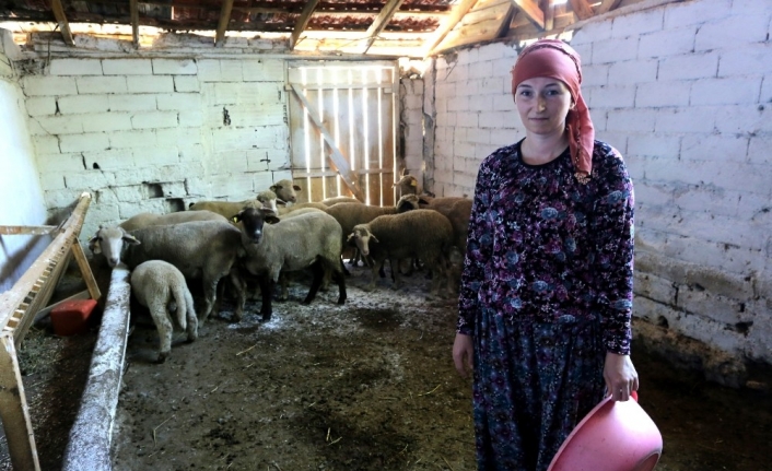 İki üniversite bitirip 4 dil konuşan Rus kadın Bursa’da hayvancılık yapıyor