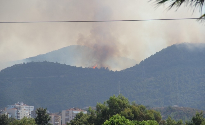 İzmir Balçova’daki orman yangını kontrol altında