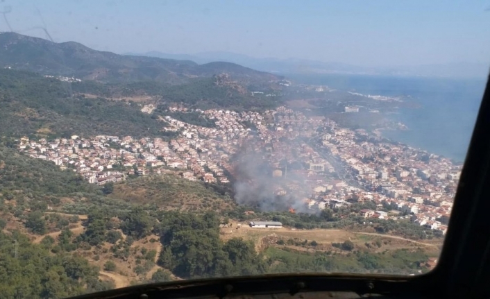 İzmir’de bir orman yangını daha